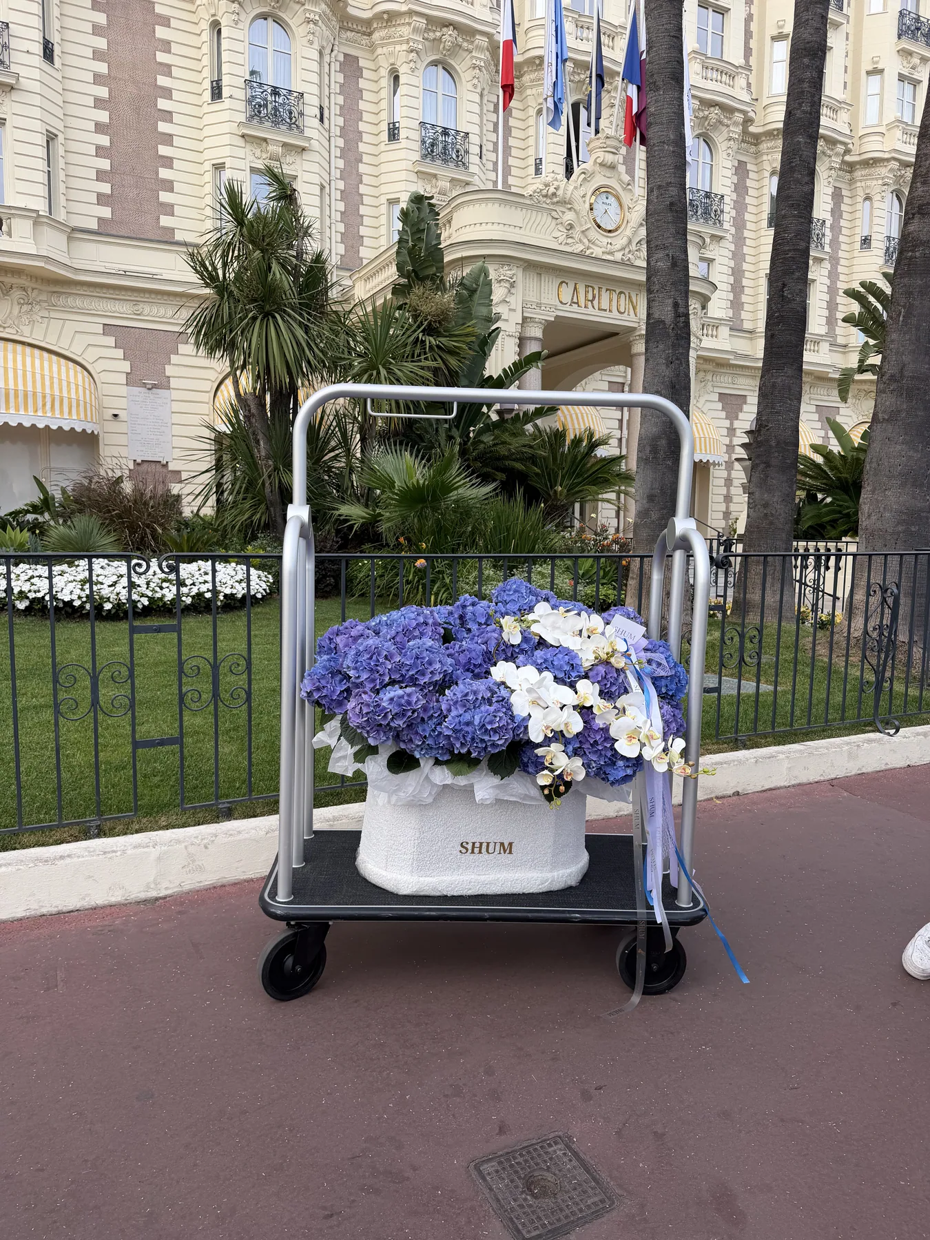 Blue hydrangeas and orchids outside the Carlton in Cannes